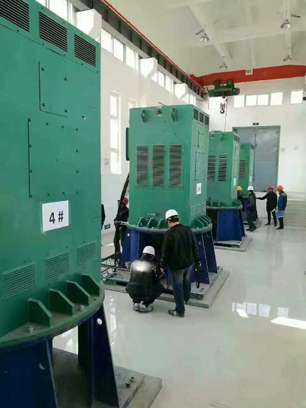 宾阳某污水处理厂使用我厂的立式高压电机安装现场